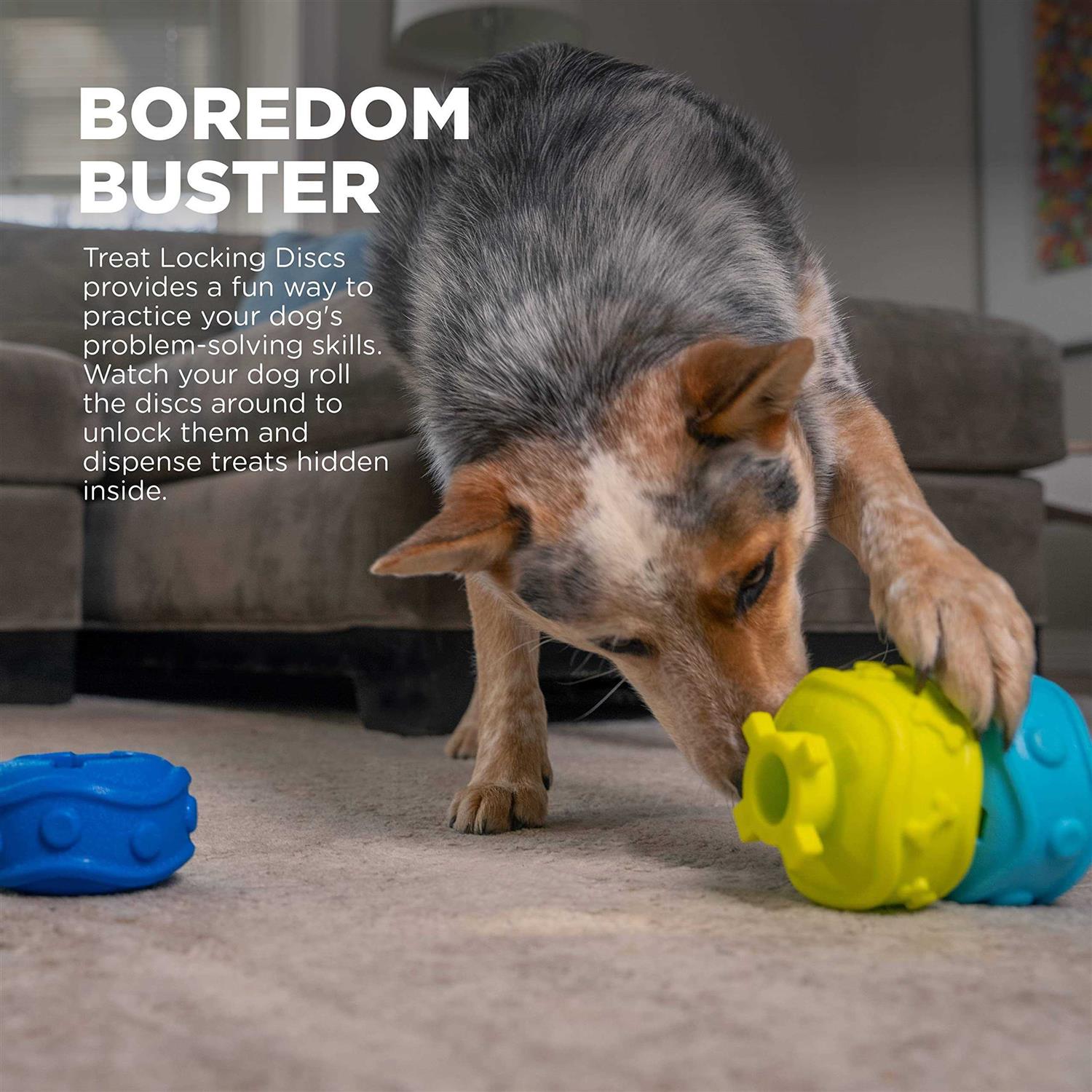 Outward Hound Treat Locking Discs Dispenser Puzzle Dog Toy - Image 5