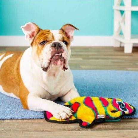 Outward Hound Invincibles Dog Toy Gecko - Image 4