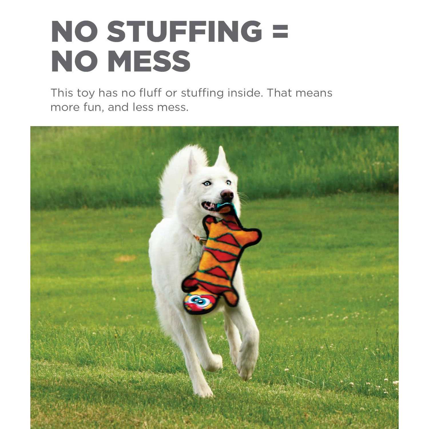 Outward Hound Invincibles Dog Toy Gecko - Image 5