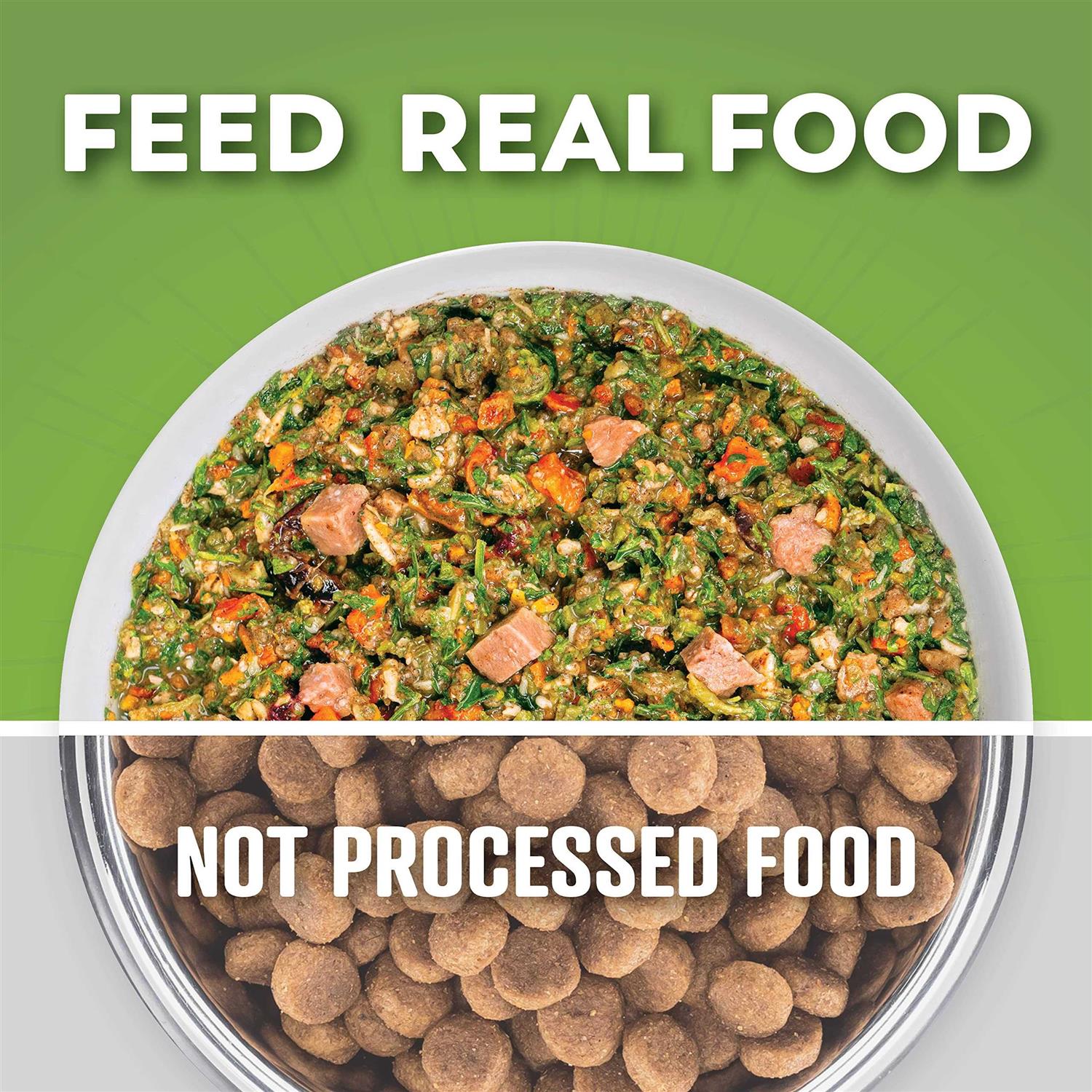 Dr. Harvey's Whole Grain Beef & Garden Veggies Dehydrated Dog Food - Image 4