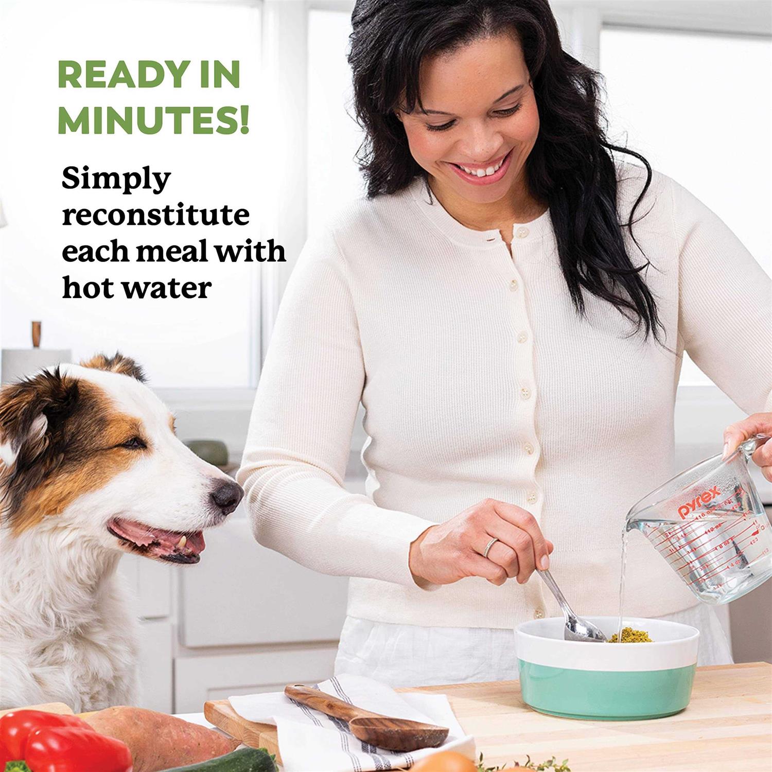 Dr. Harvey's Whole Grain Beef & Garden Veggies Dehydrated Dog Food - Image 5