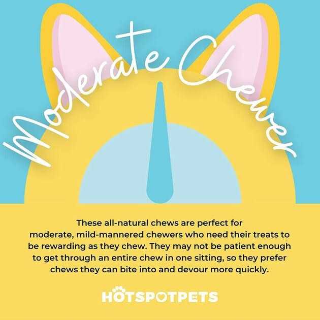 Hotspot Pets Large Whole Pig Ears Dog Chew Treats - Image 3