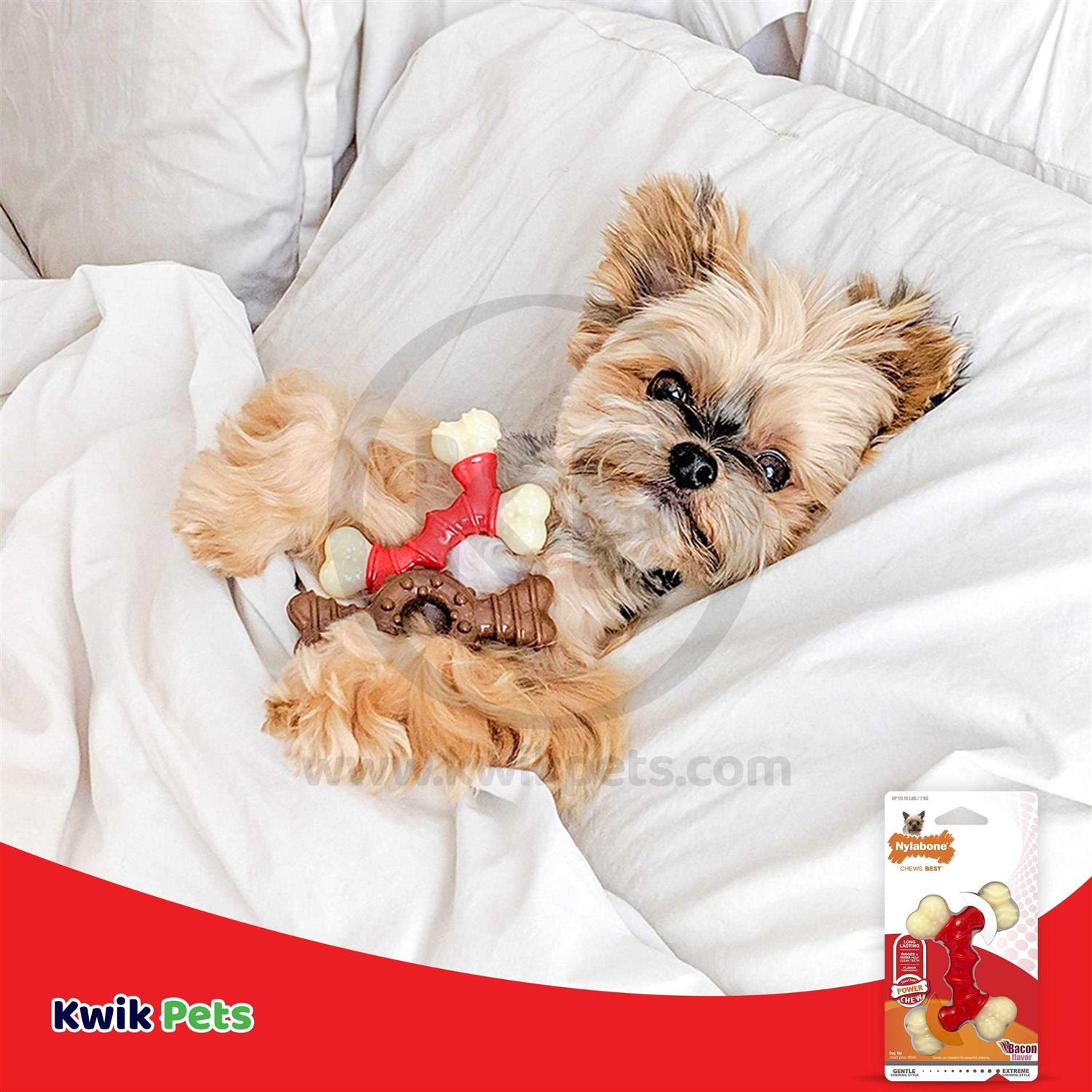 Nylabone Dura Chew Double Bone Bacon Petite - Image 5