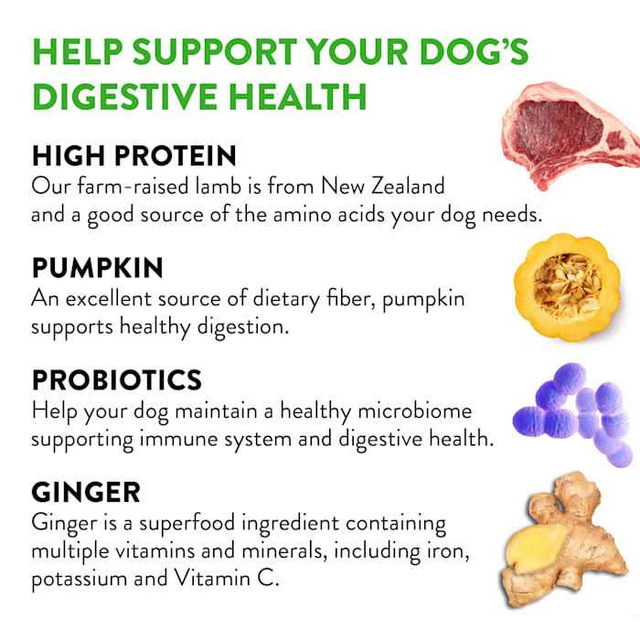 Dogswell Gut Health Jerky Lamb Dog Treats - Image 3