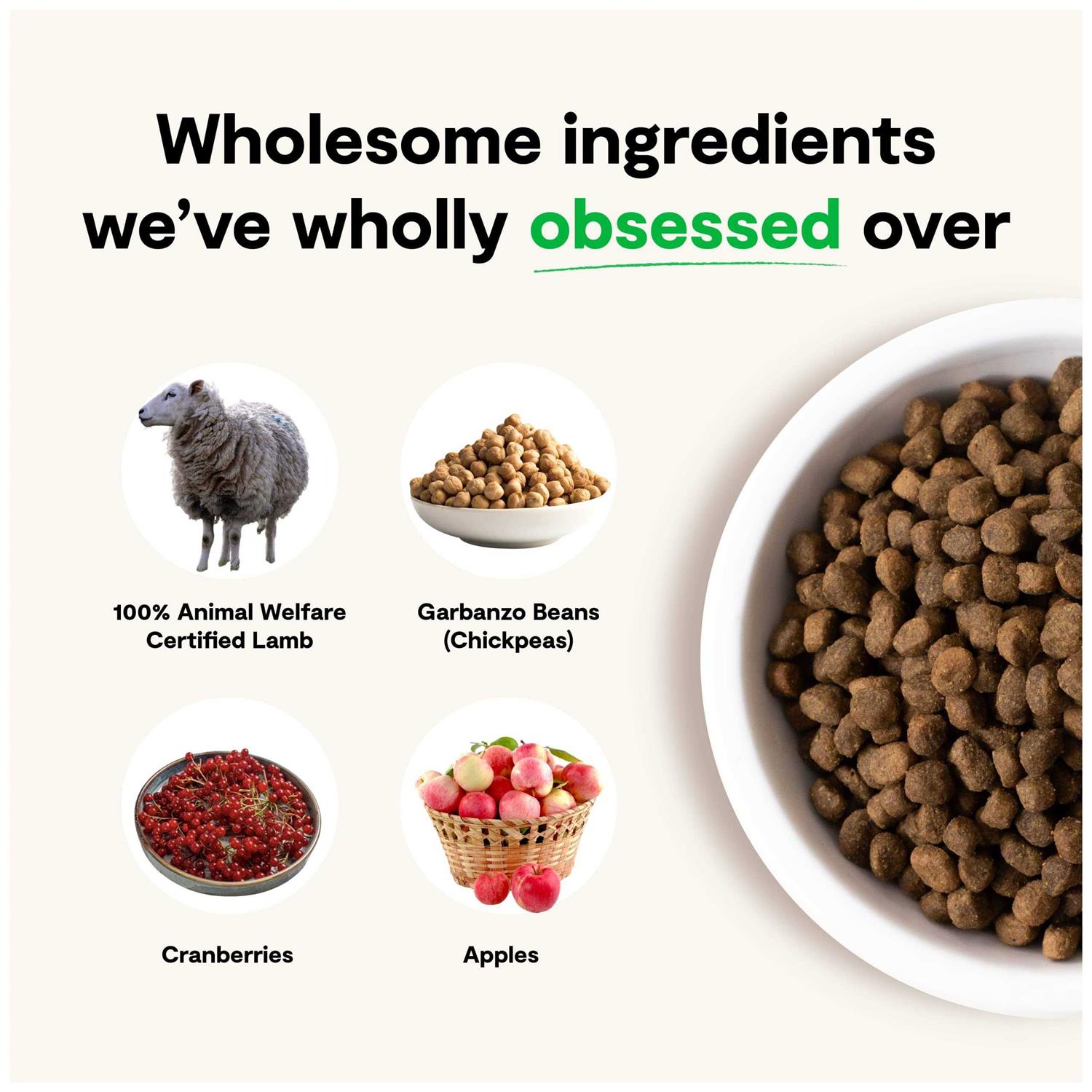 Open Farm Grain-Free Pasture Raised Lamb Dry Dog Food - Image 4