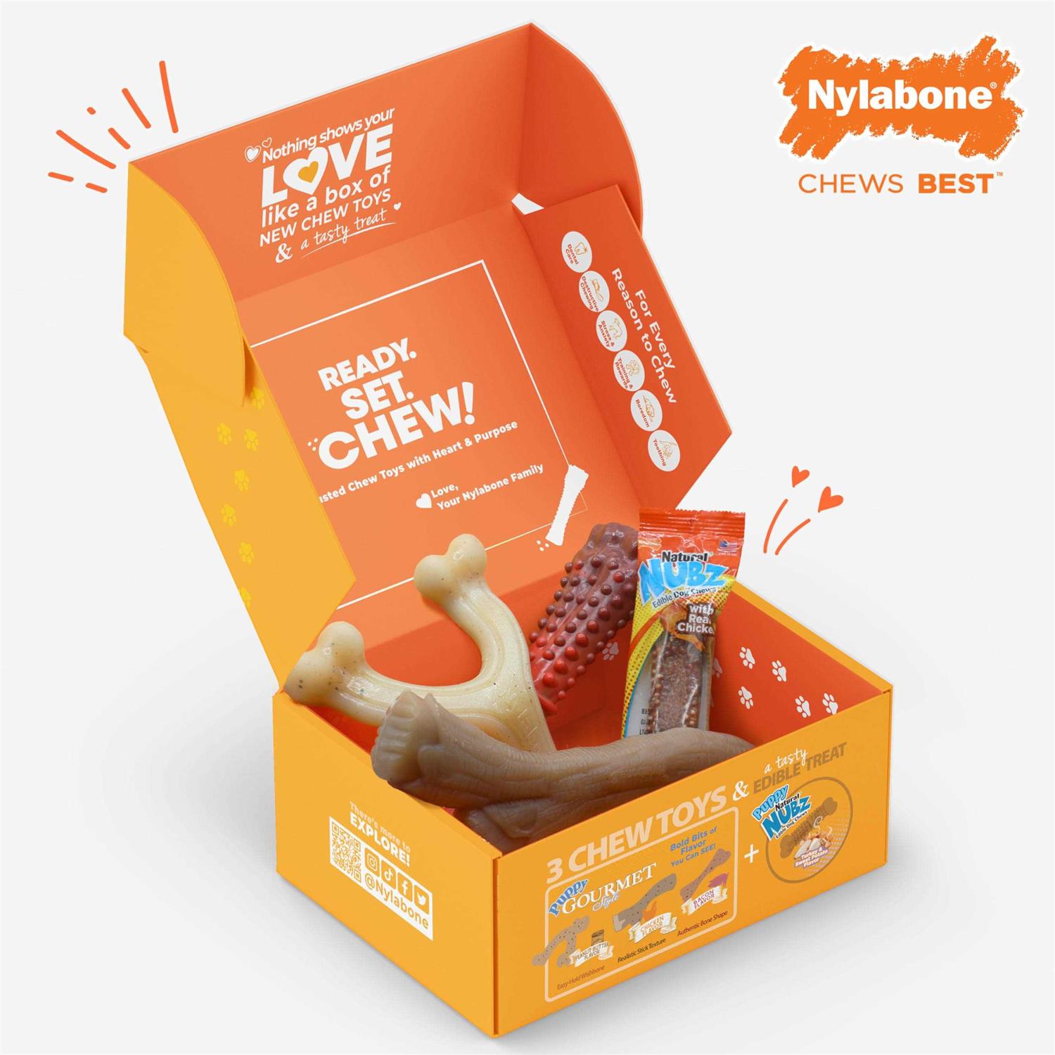 Nylabone The Box Chew Toy & Treat Gift Box Dogs - Image 4