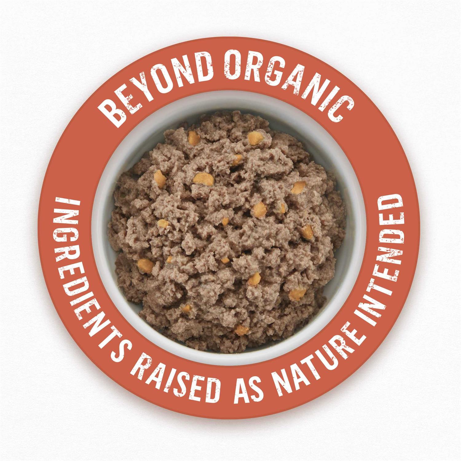 Purina Beyond Organic Chicken Recipe Wet Dog Food - Image 2