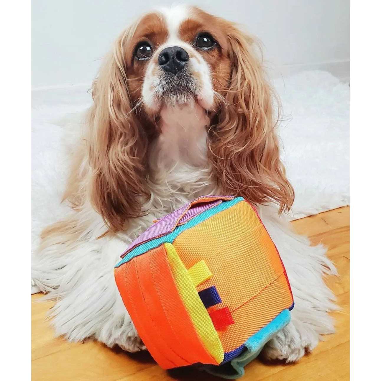 Hide n' Seek Cube Dog Puzzle Toy - Image 3