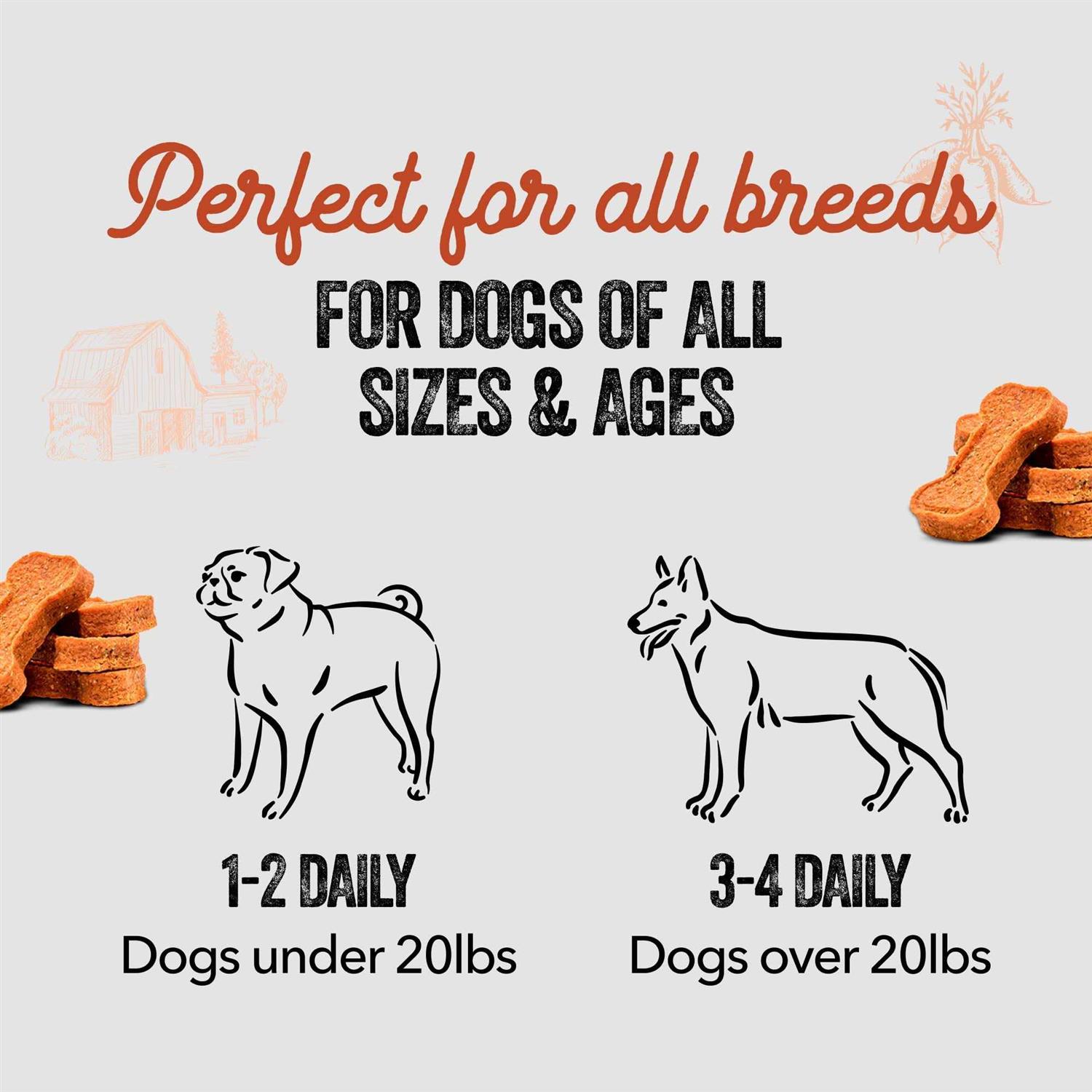 Gaines Family Farmstead Sweet Potato Bones Dog - Image 3