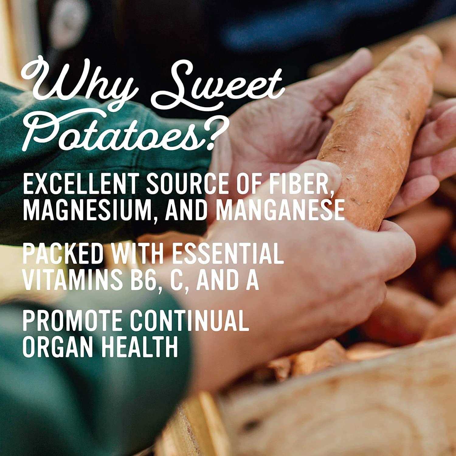 Gaines Family Farmstead Sweet Potato Bones Dog - Image 4