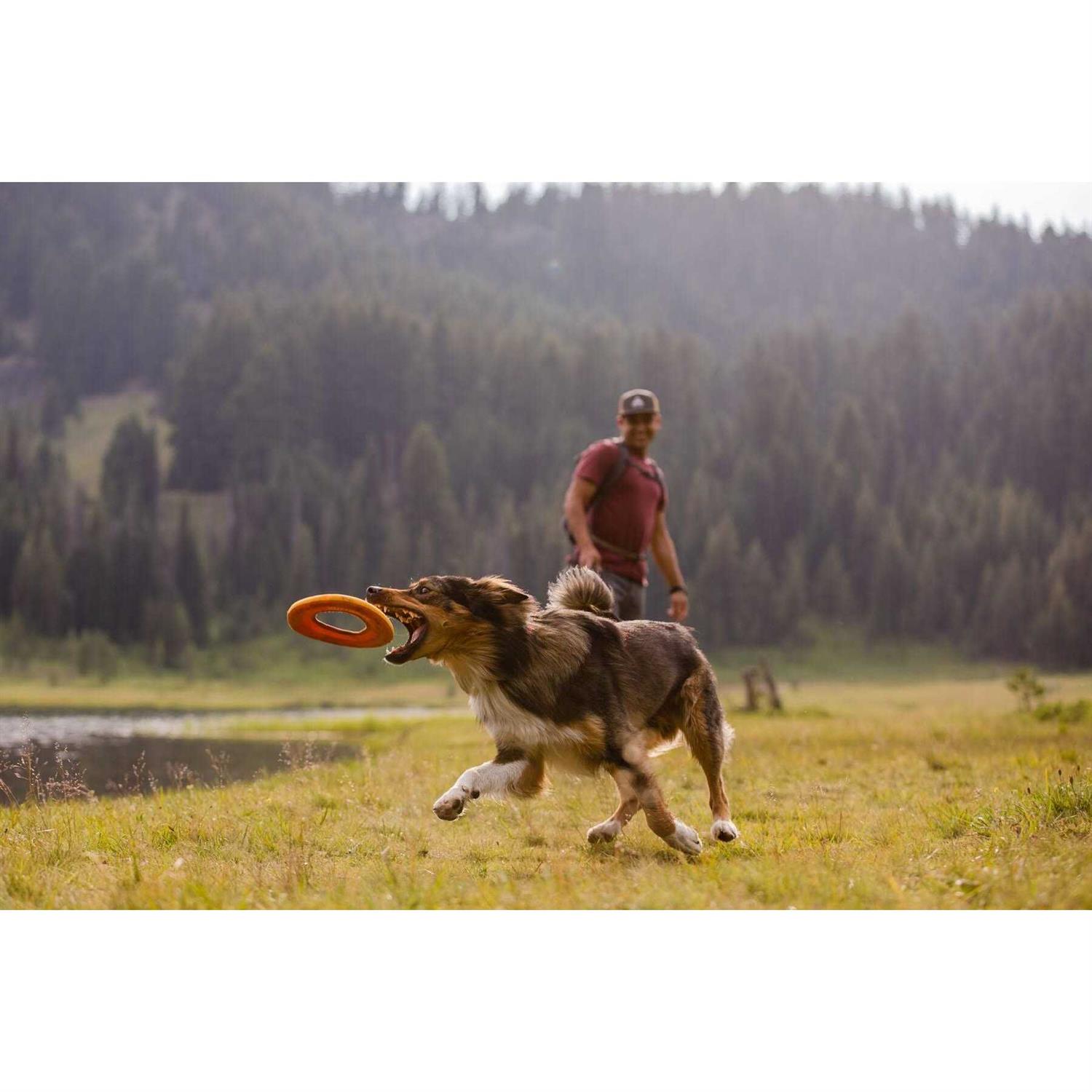 Ruffwear Hydro Plane Toy - Image 3