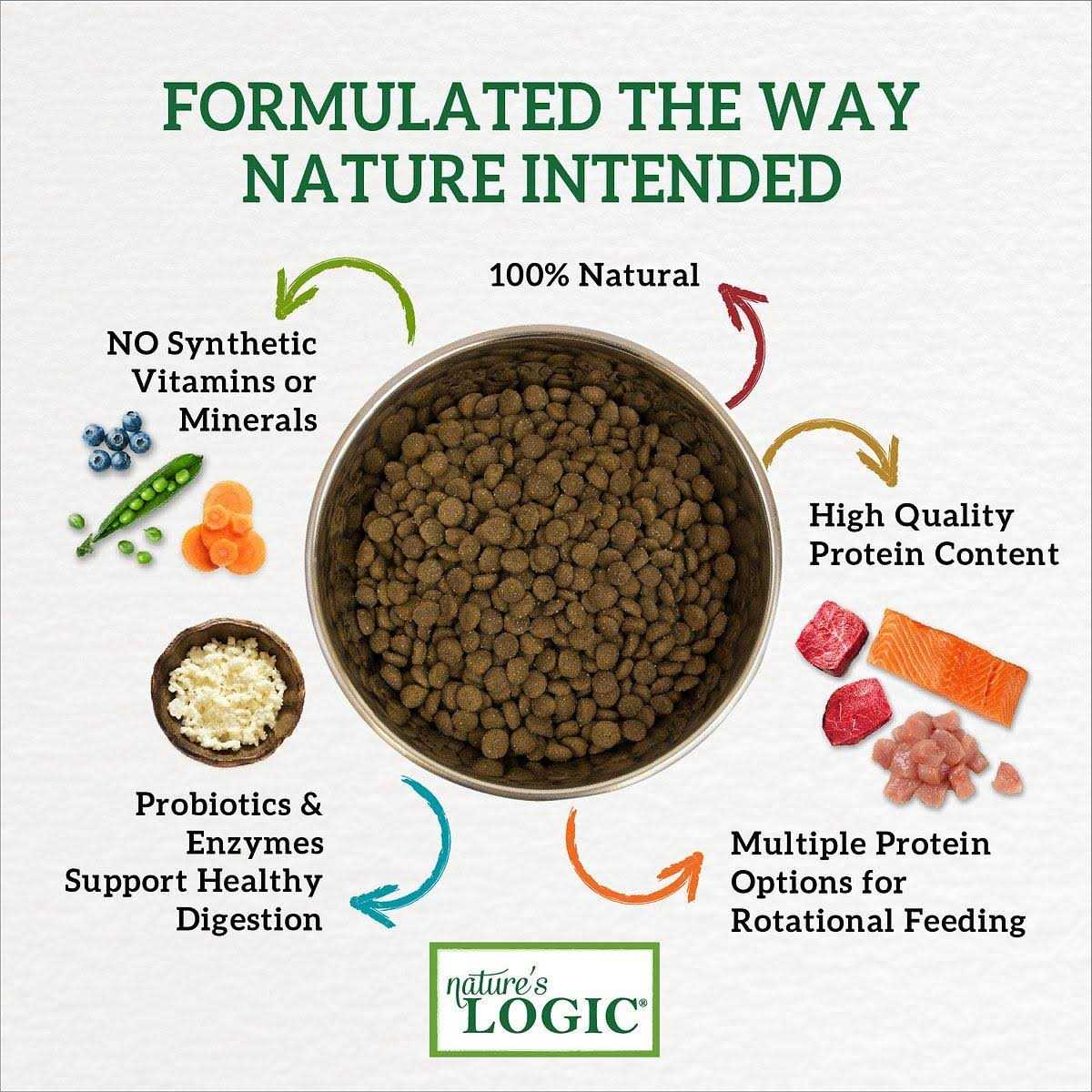 Nature&s Logic Canine Turkey Meal Feast Dry Dog Food - Image 4