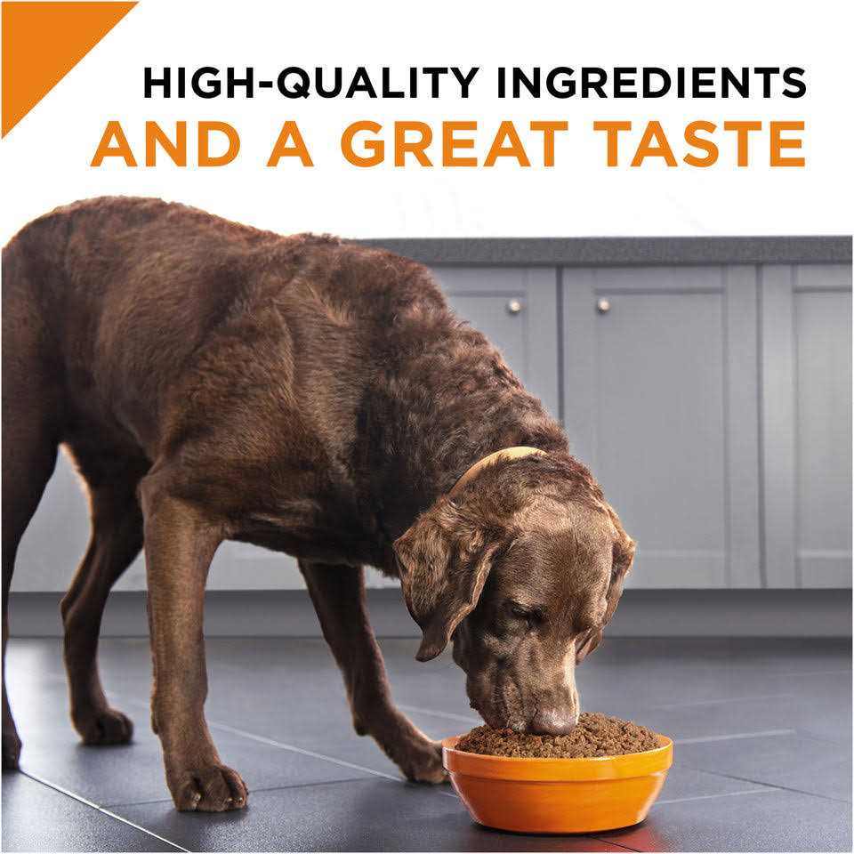 Purina Pro Plan Savor Classic Beef & Rice Entree Adult Wet Dog Food - Image 3