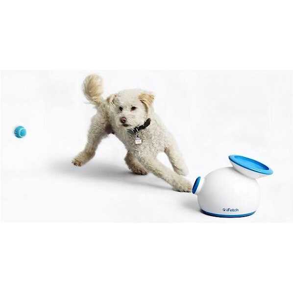 iFetch Mini Tennis Balls - Image 3