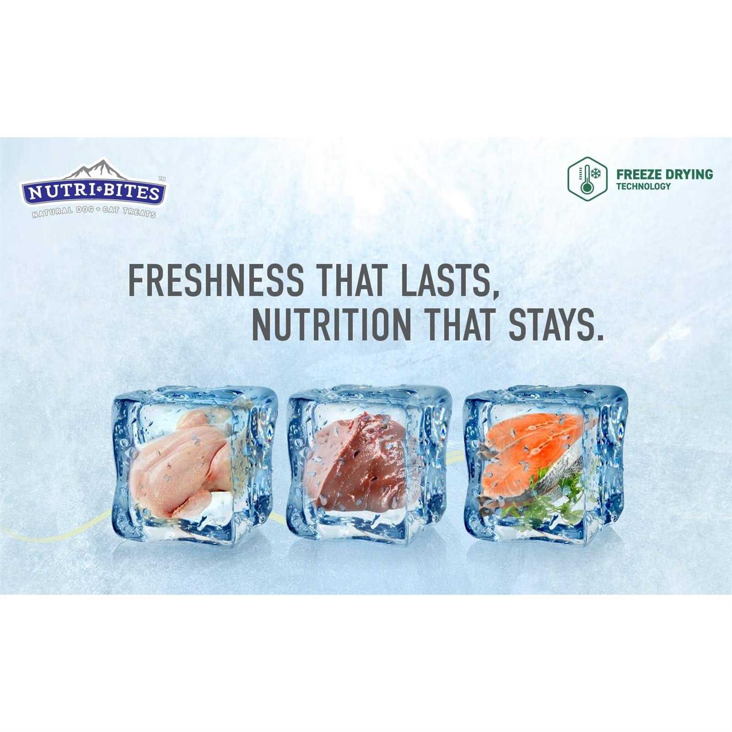 nutri bites freeze dried salmon pets treats rich in protein and omega-3 premium quality 14 oz for dogs and cats - Image 4