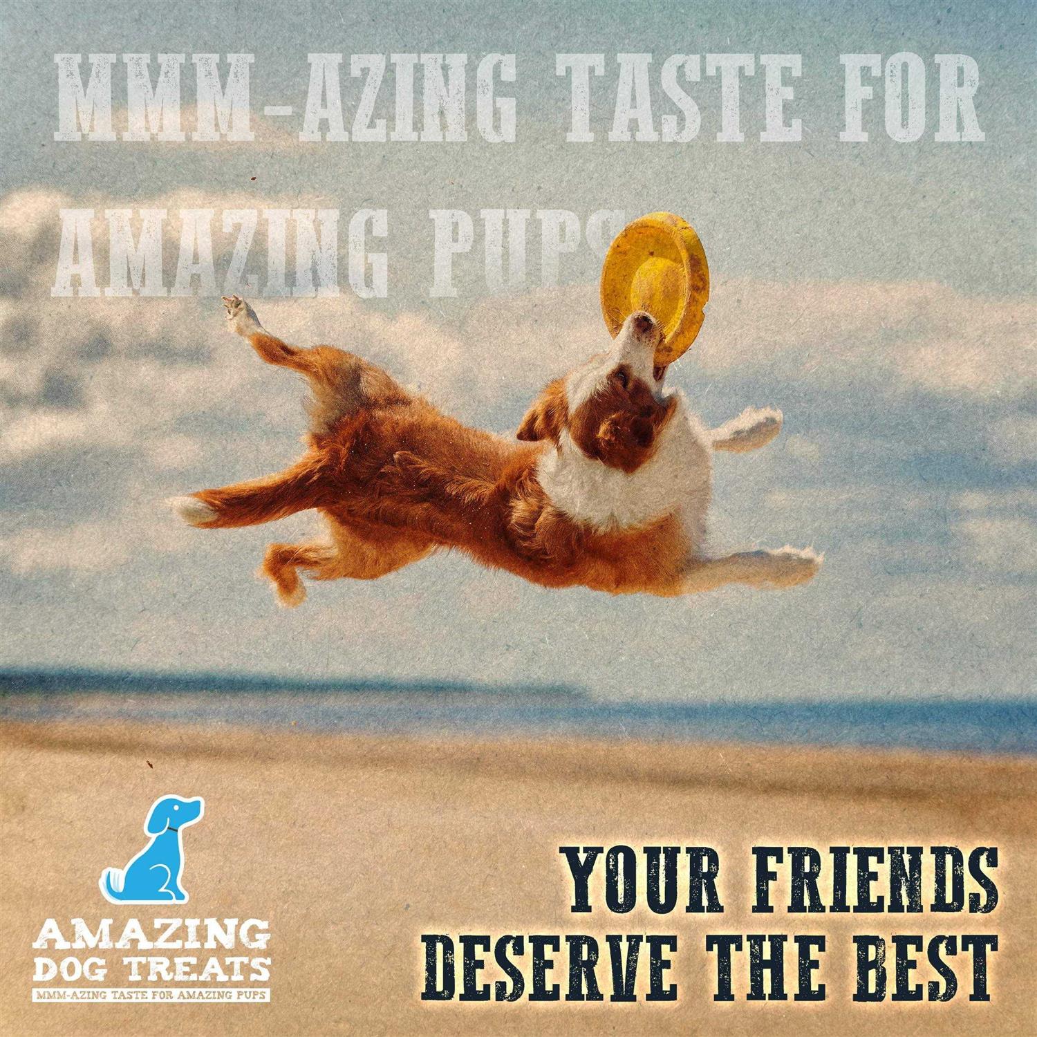 Amazing Dog Treats Chicken Feet Grade A Chicken Feet - Image 3