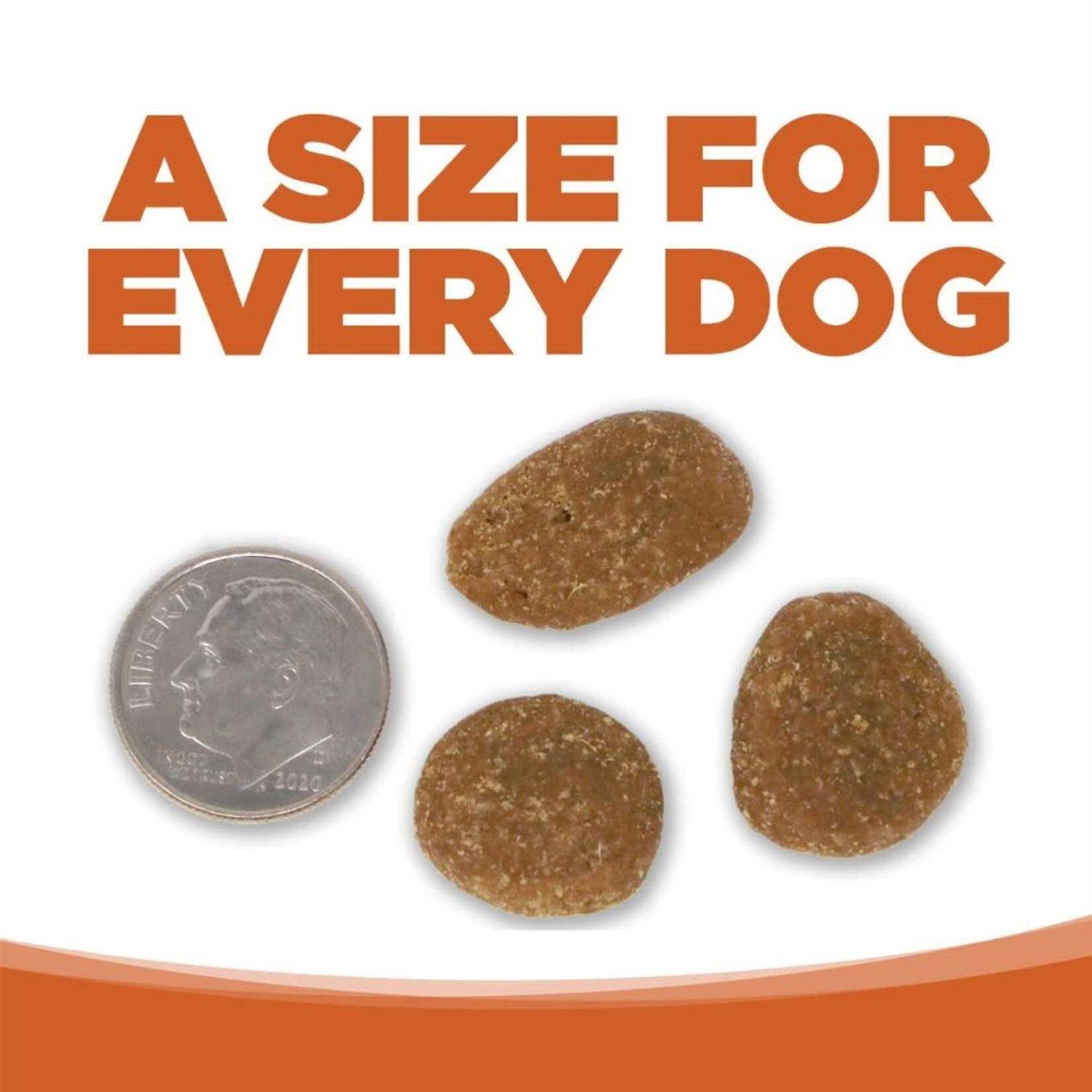 NutriSource Dog Element Series Outback Trails - Image 3