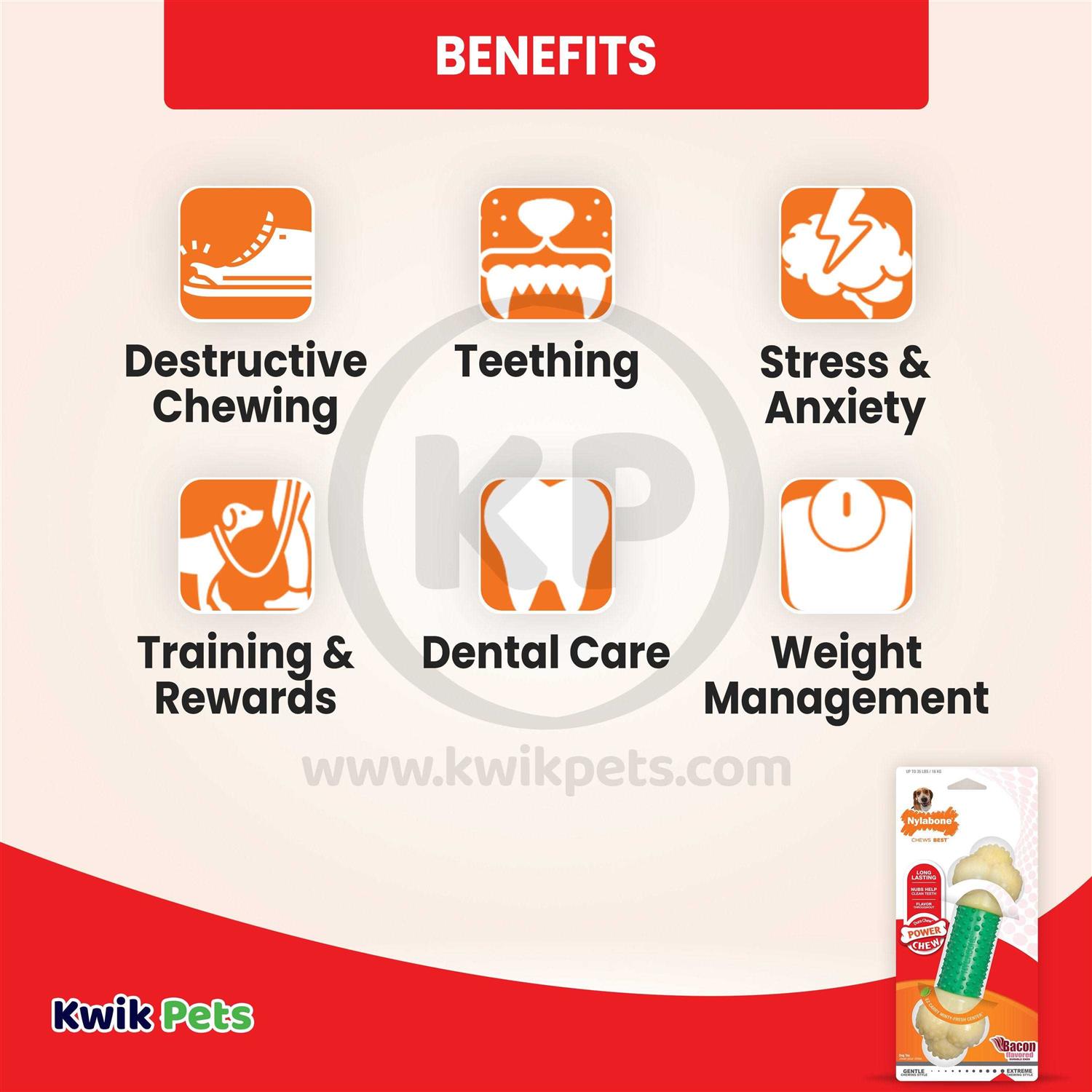 Nylabone Double Action Chew - Image 3