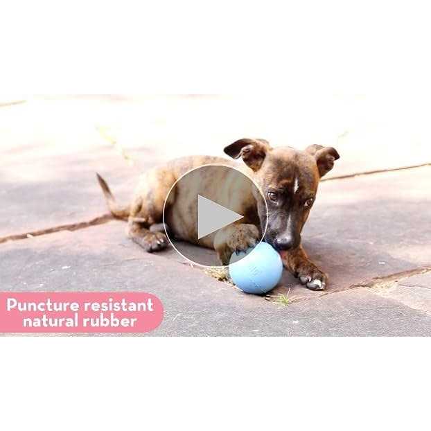 KONG Puppy Ball with Hole Dog Toy - Image 3