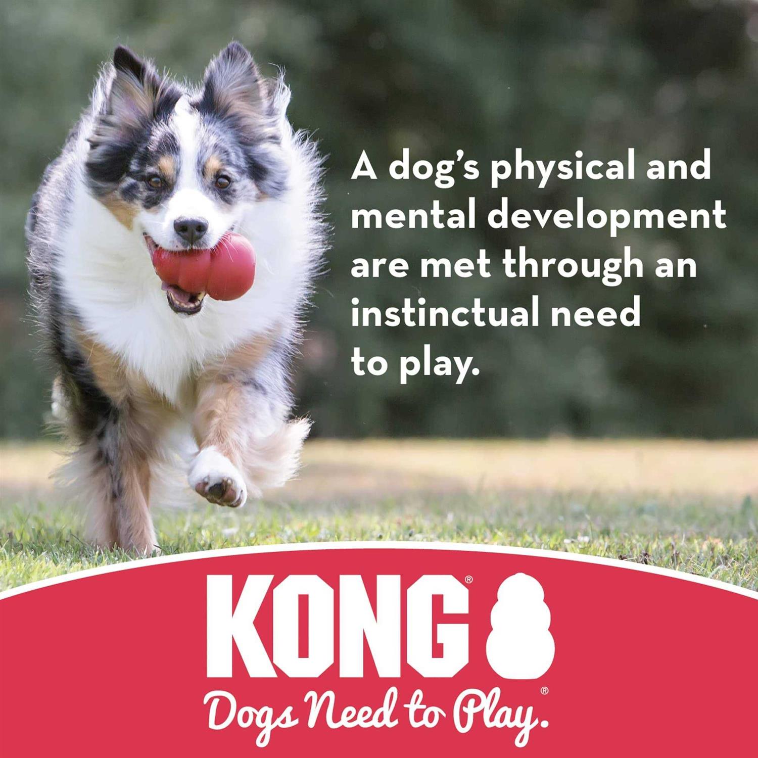 KONG Puppy Ball with Hole Dog Toy - Image 5