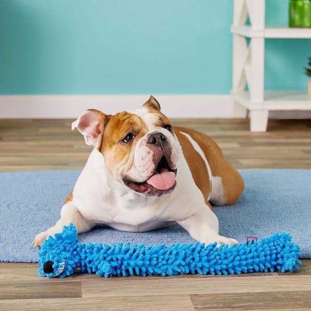 Multipet Floppy Loofa Dog Toy - Image 4