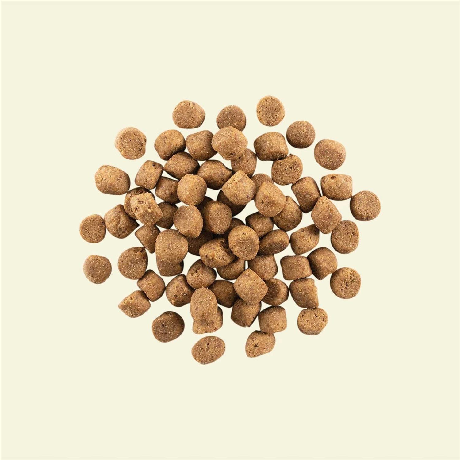 Now Fresh Grain-Free Puppy Recipe Dry Dog Food - Image 4