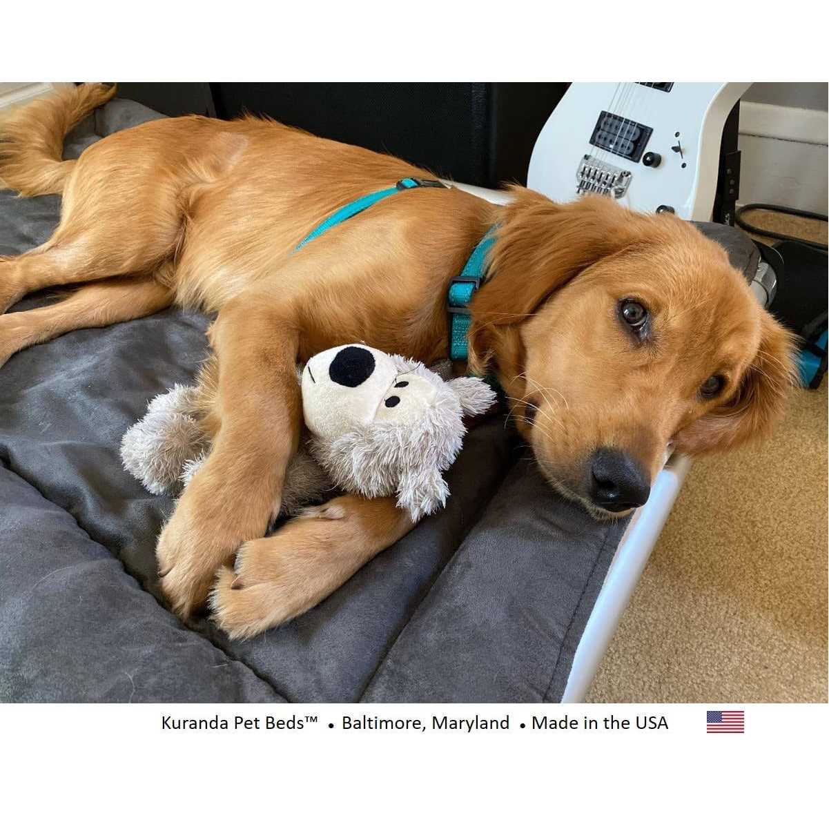 Kuranda Pillow Pad - Image 3