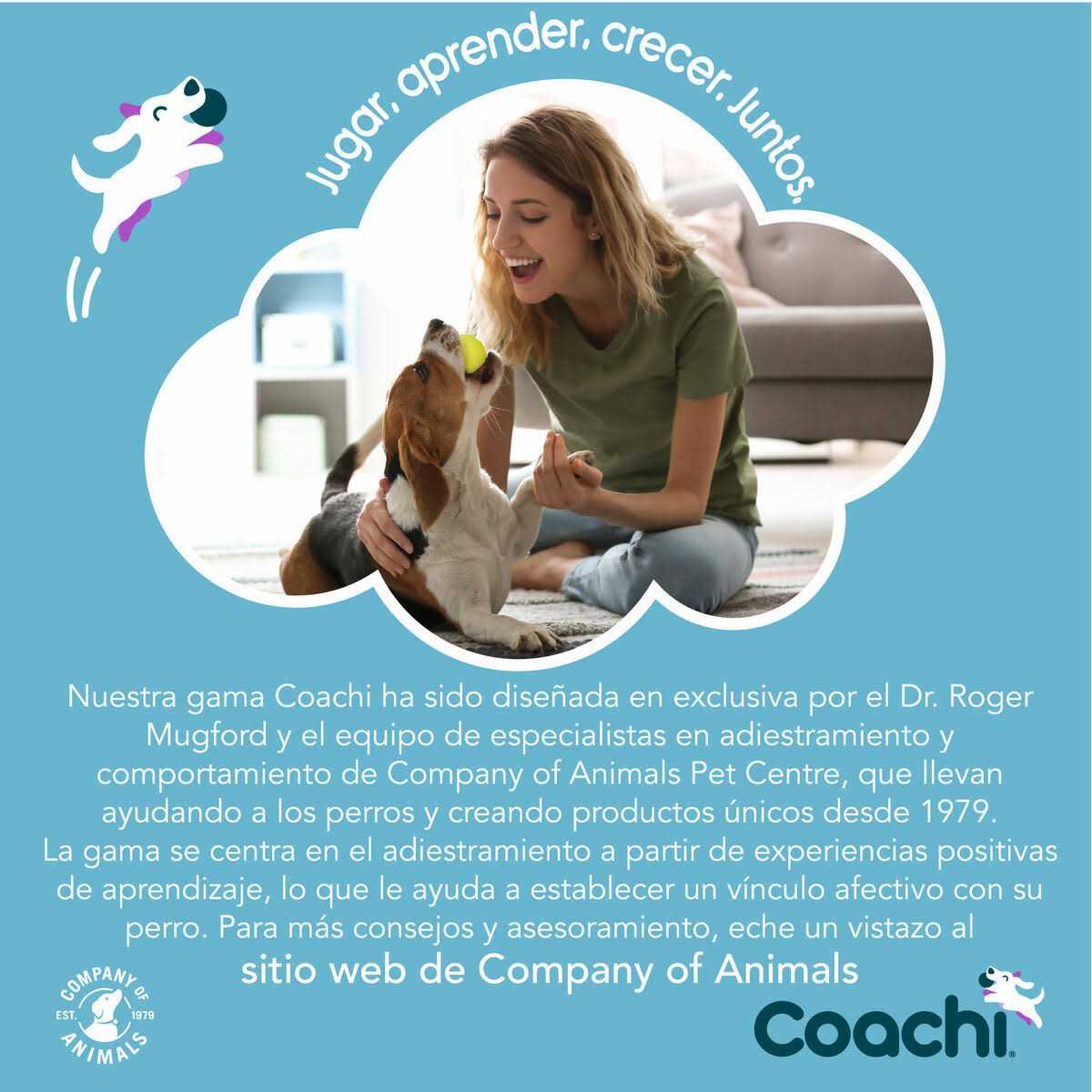 Coachi Tuggi Tug Dog Toy - Image 3