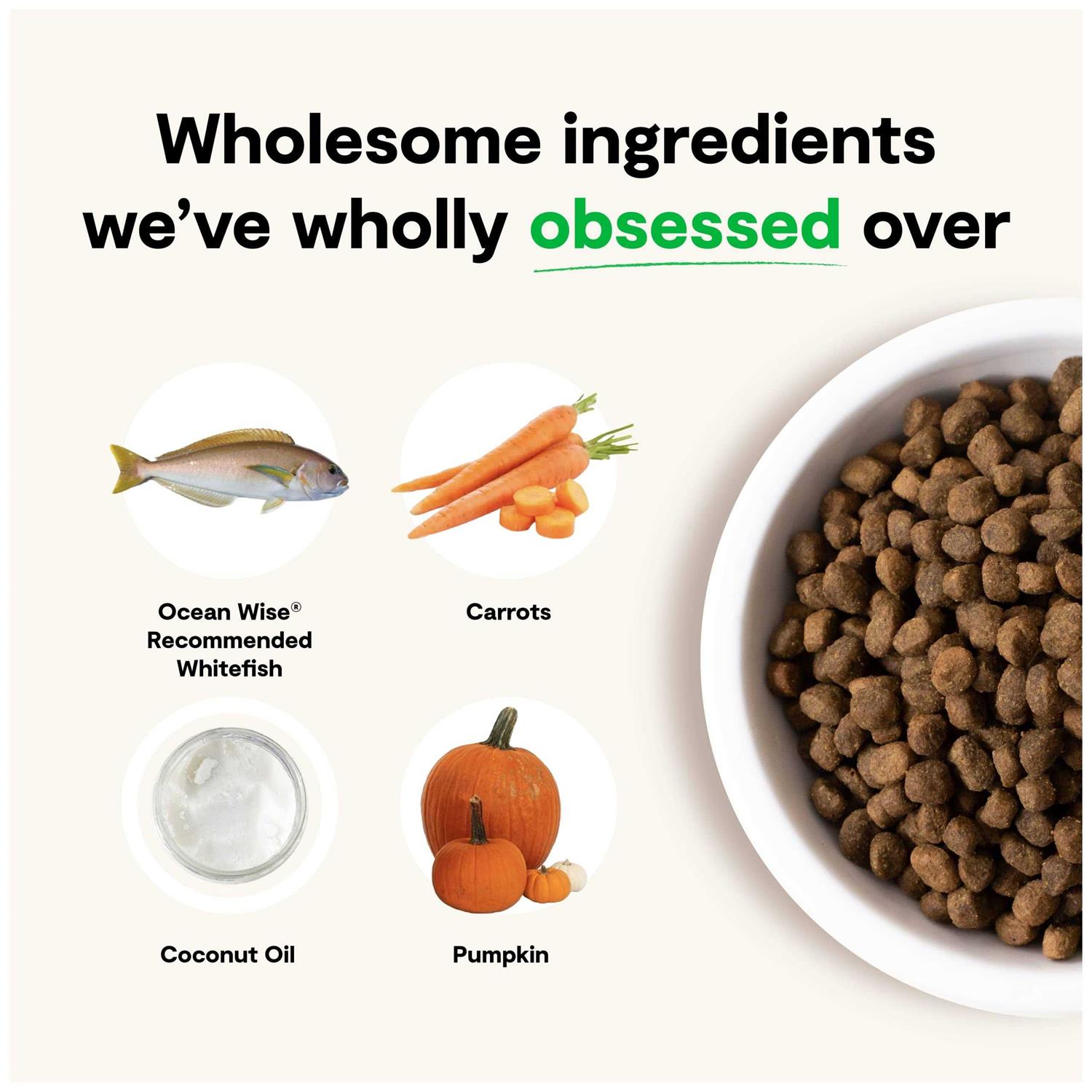 Open Farm Catch-of-the-Season Whitefish Grain Free Dry Dog Food - Image 5