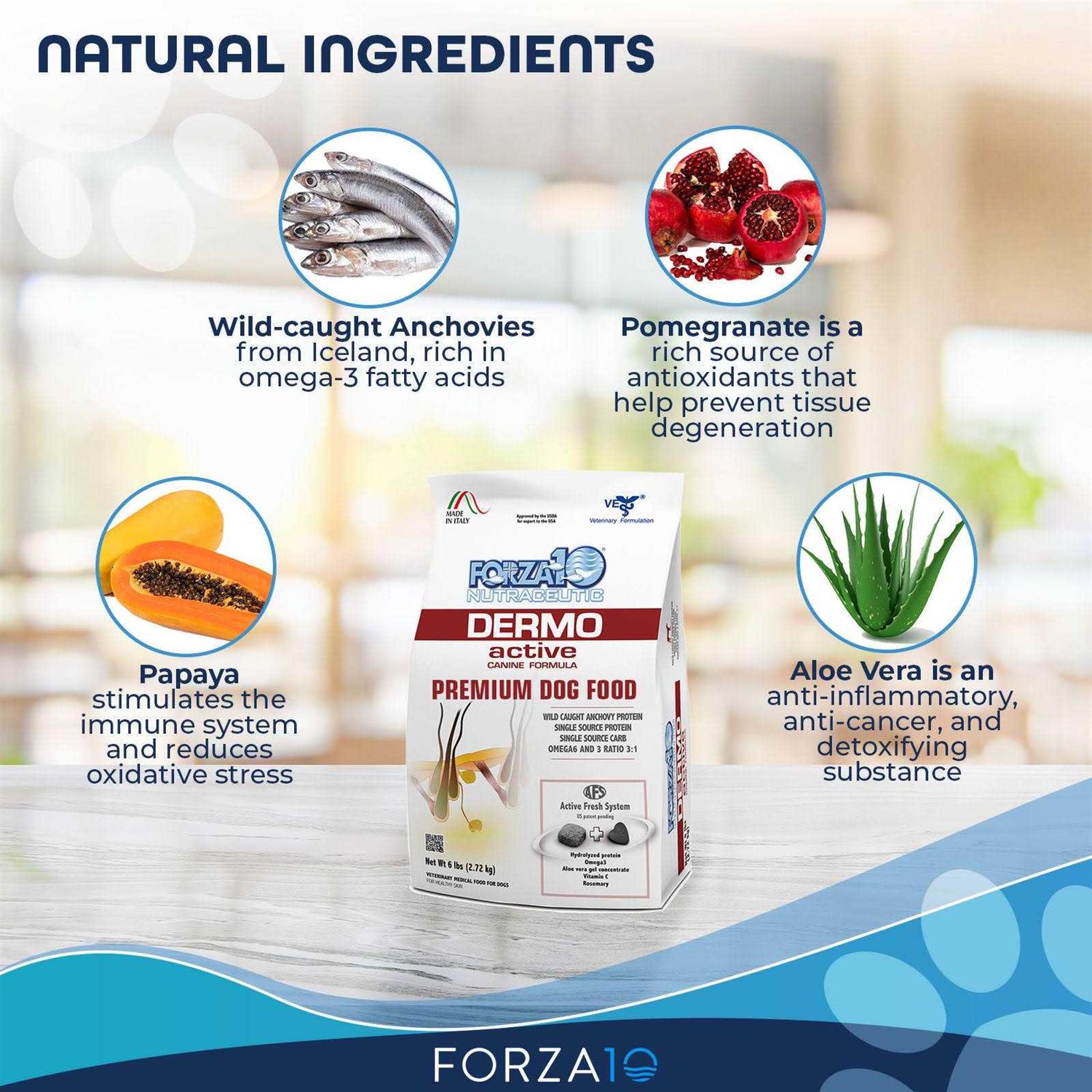 Forza10 Active Dermo Dry Dog Food - Image 3