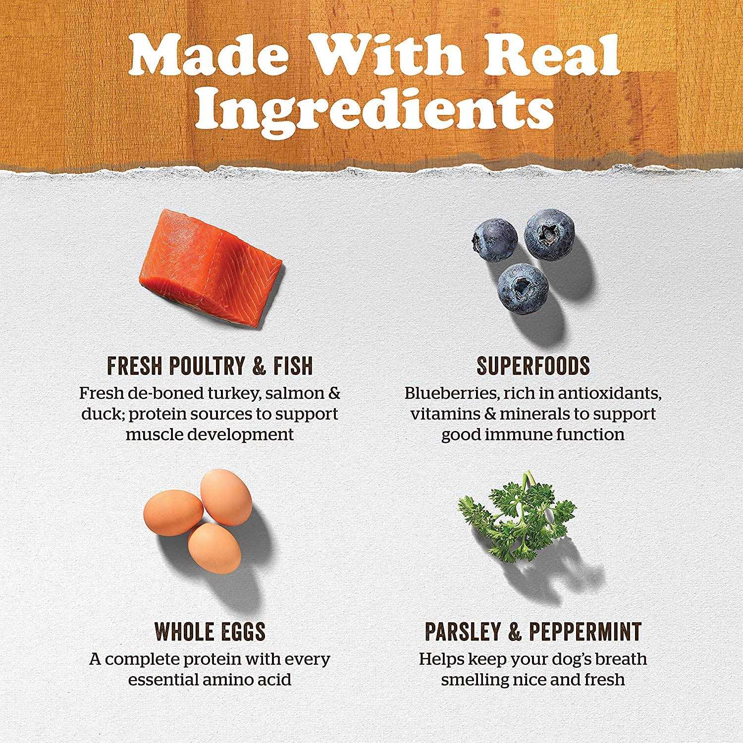 Now Fresh Grain-Free Adult Dry Dog Food - Image 5