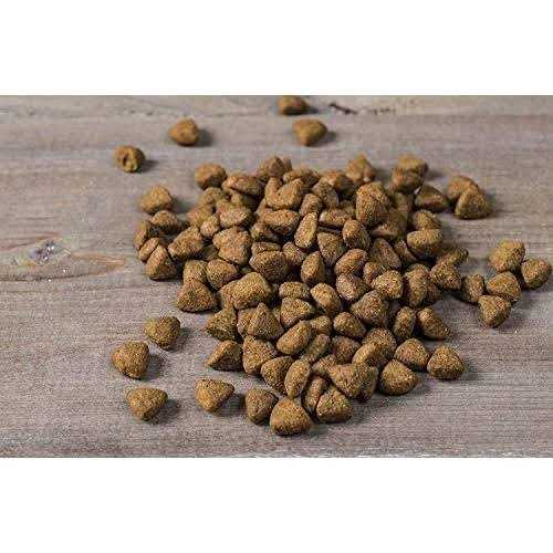 Nulo Frontrunner Small Breed Dry Dog Food Turkey - Image 3