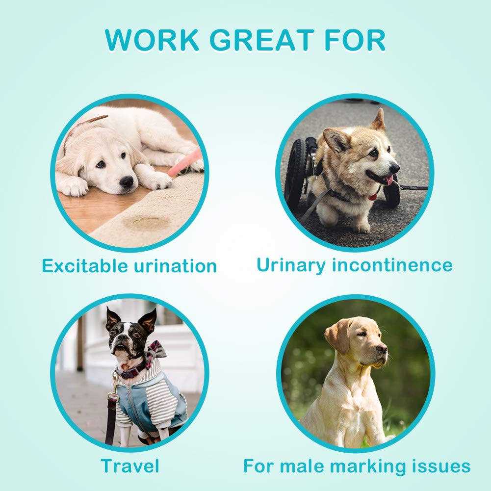 Flying Paws Male Dog Diapers Absorbent Male Dog Wraps Belly Bands for Male Dogs with Leak Protection, Excitable Urination, Incontinence, or Male - Image 3