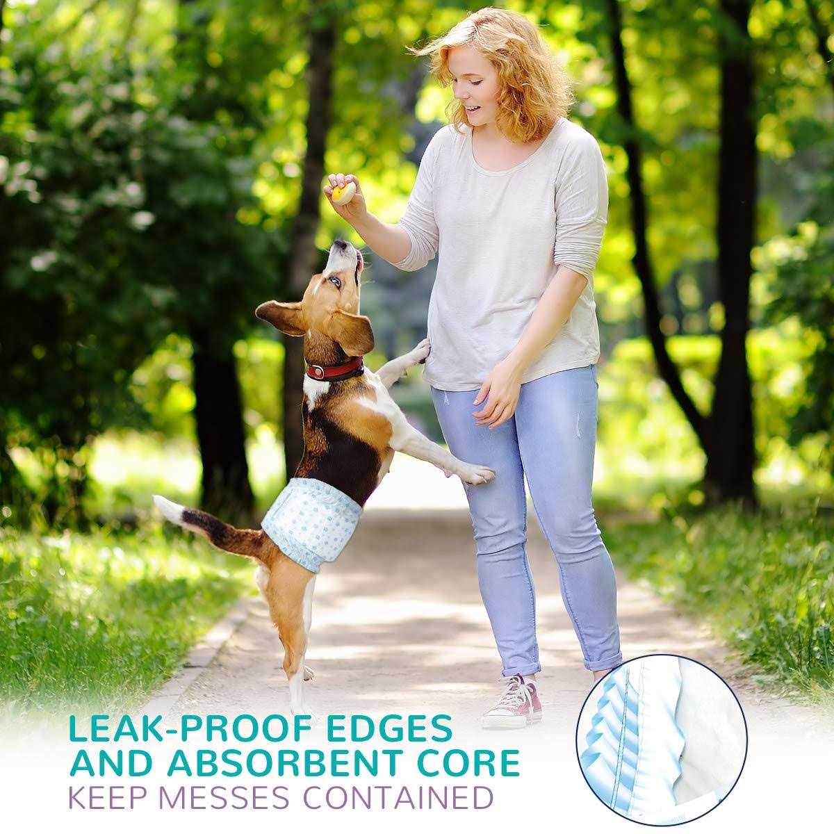 Flying Paws Male Dog Diapers Absorbent Male Dog Wraps Belly Bands for Male Dogs with Leak Protection, Excitable Urination, Incontinence, or Male - Image 4