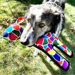 KONG Multicolor Ripstop Giraffe Dog Toy - Image 3