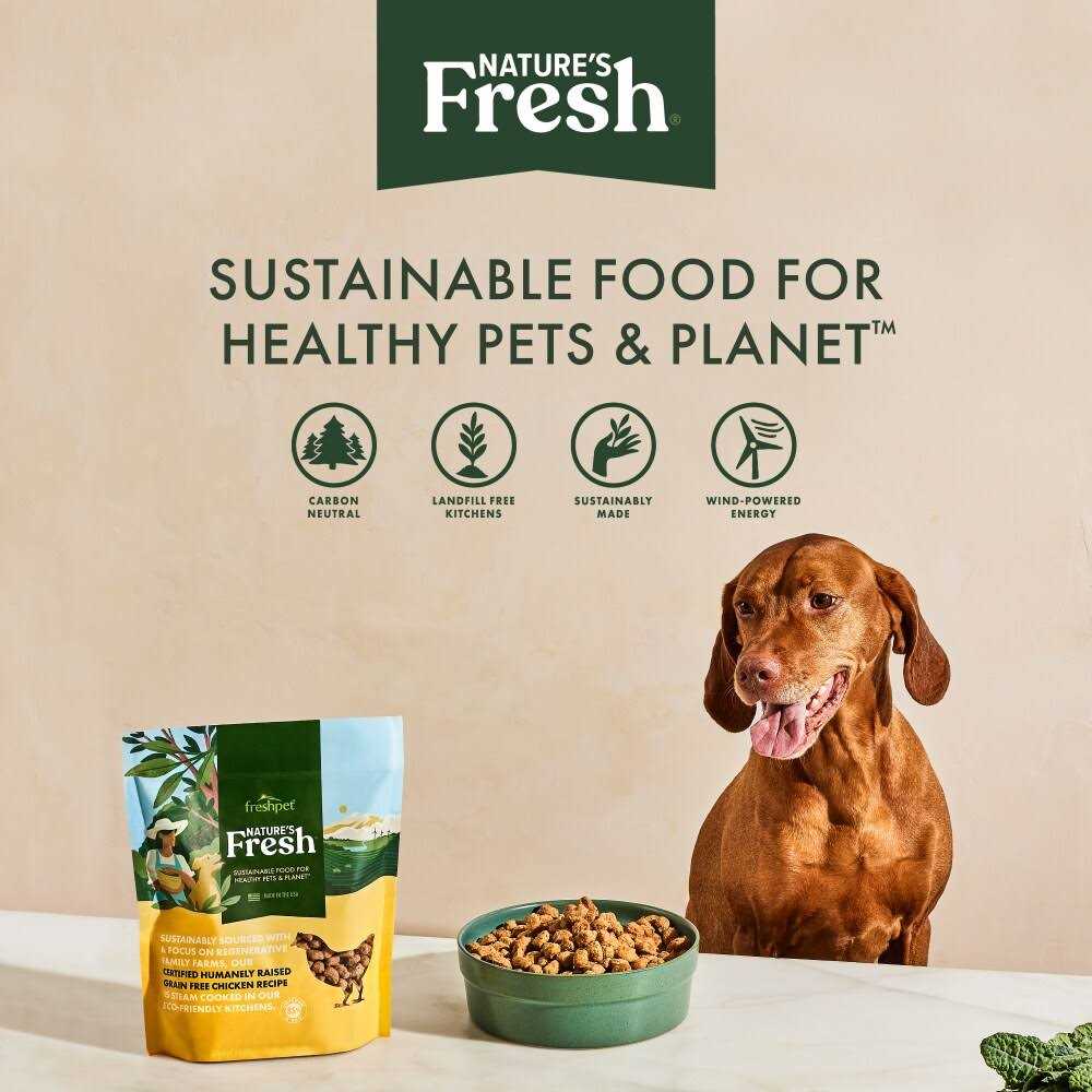 Freshpet Nature's Fresh Adult Grain Free Chicken Recipe Dog Food - Image 5