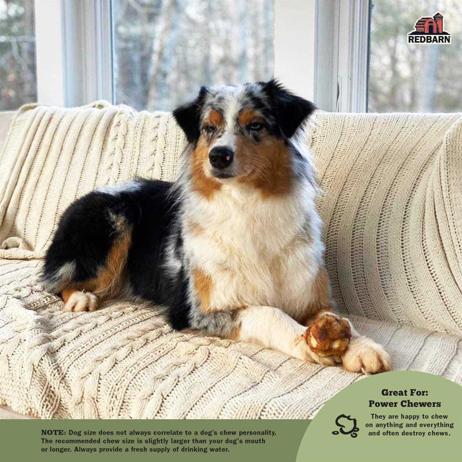 Redbarn Knee Caps Dog Treats - Image 4