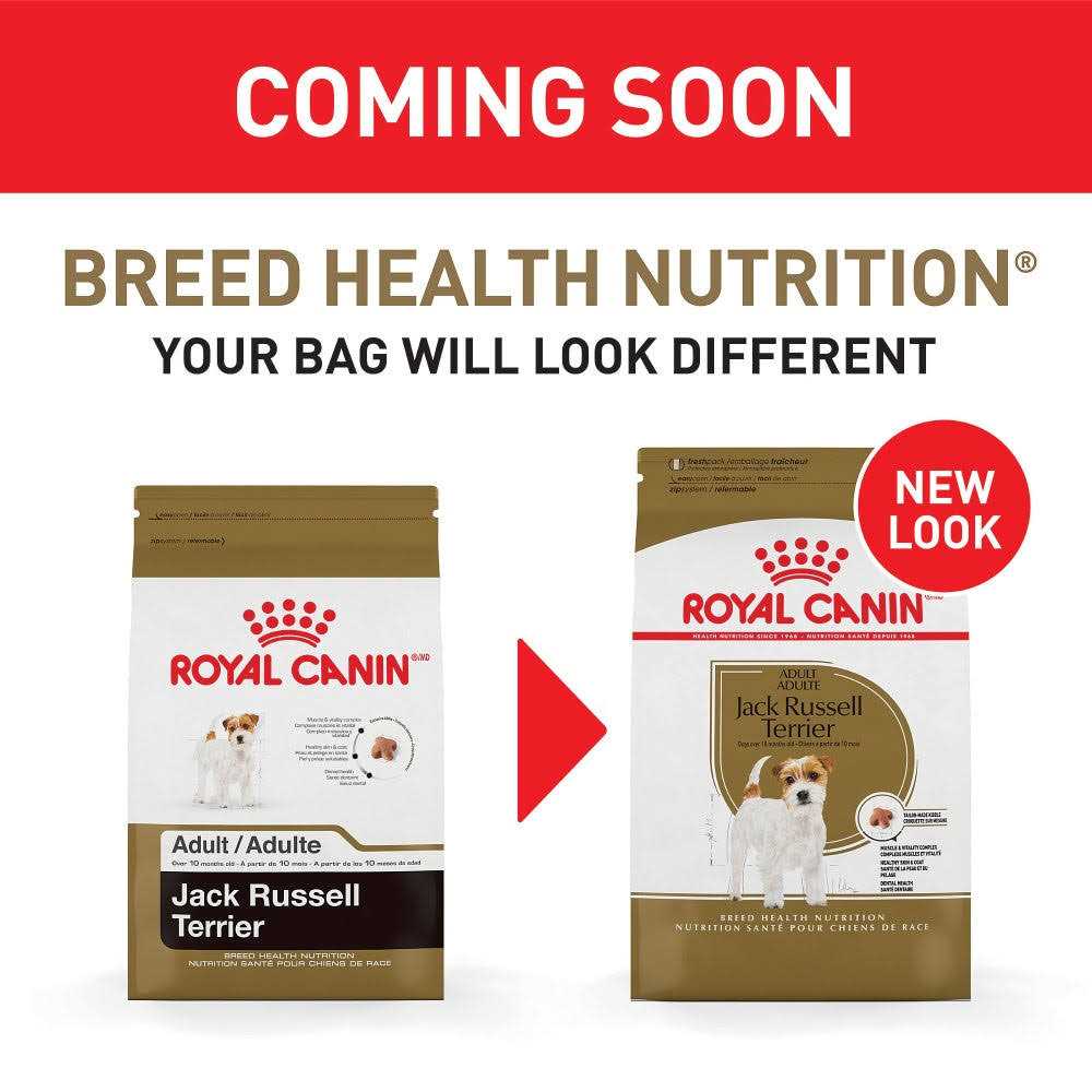 Royal Canin Breed Health Nutrition Adult Jack Russell Terrier Dry Dog Food - Image 5