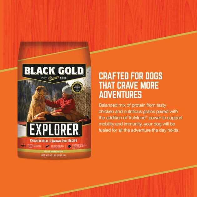 Black Gold Explorer Dog Food Chicken Meal & Brown Rice Formula - Image 3