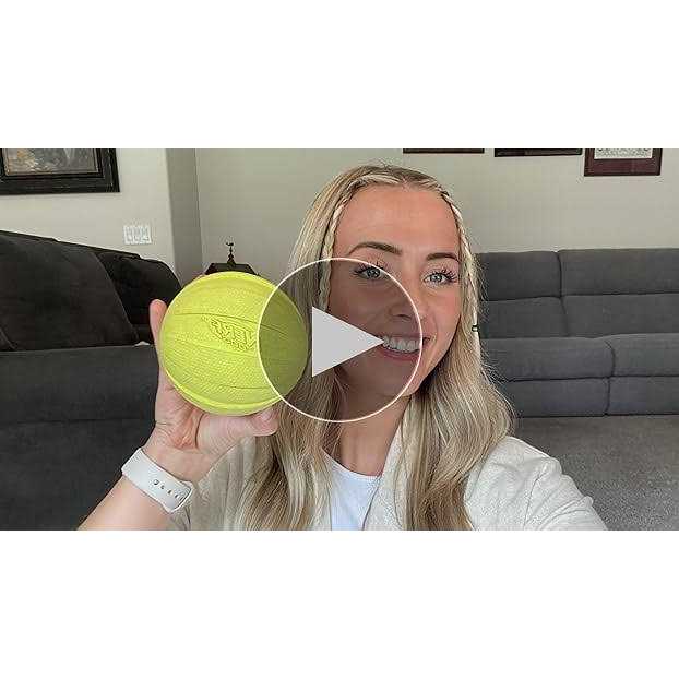 Nerf Dog Ball Dog Toy - Image 3