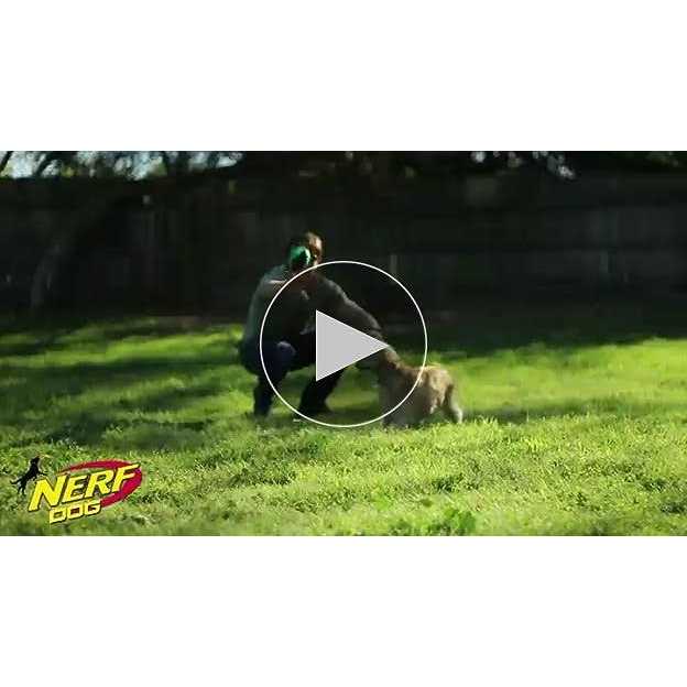 Nerf Dog Ball Dog Toy - Image 4