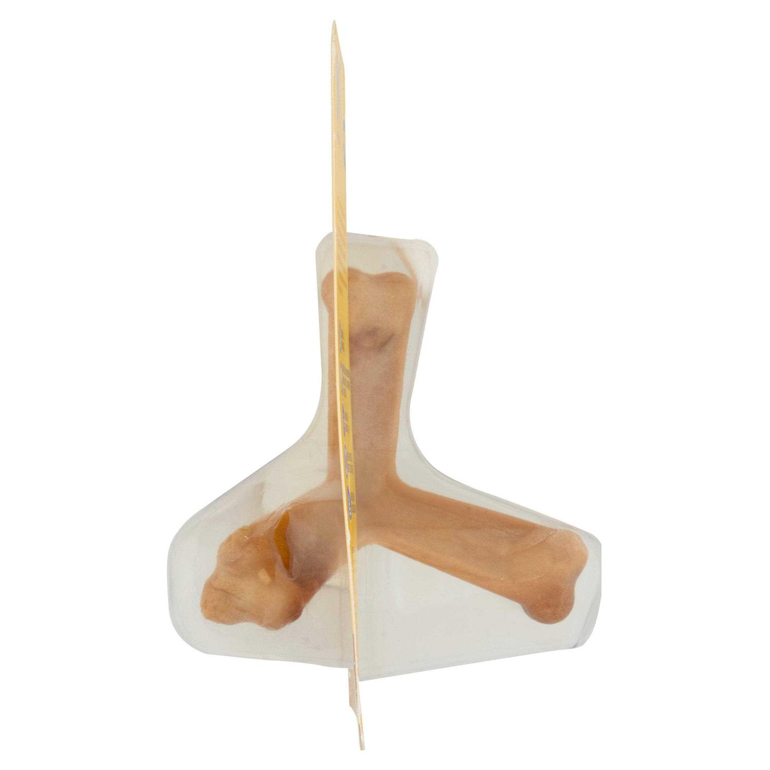 N-Bone Dog Quado - Image 4