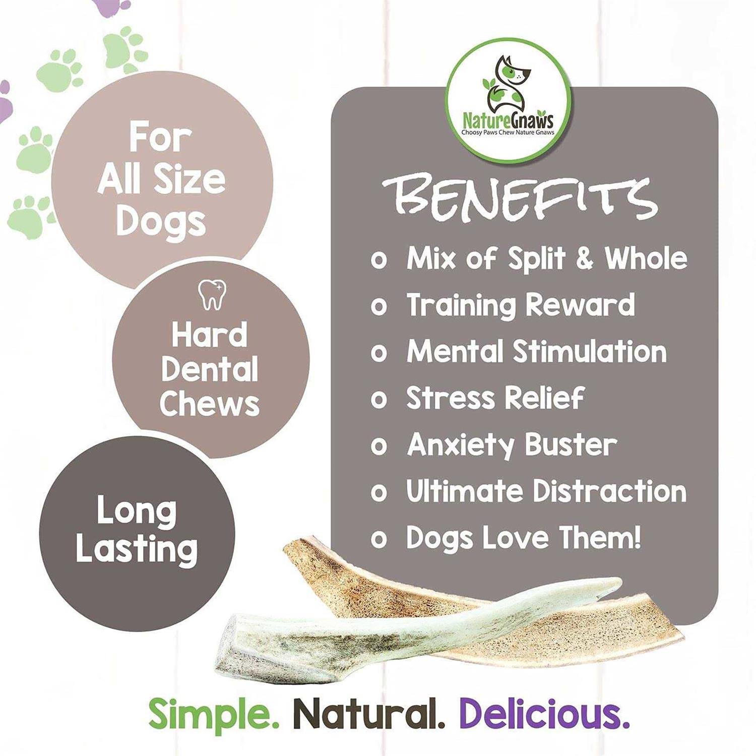 Nature Gnaws Elk Antlers for Large Dogs Premium Natural USA Antler - Image 4