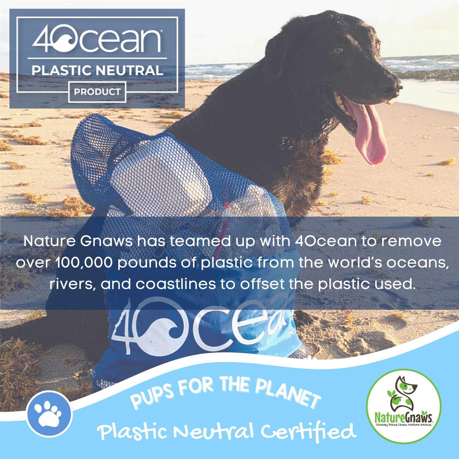 Nature Gnaws Elk Antlers for Large Dogs Premium Natural USA Antler - Image 5