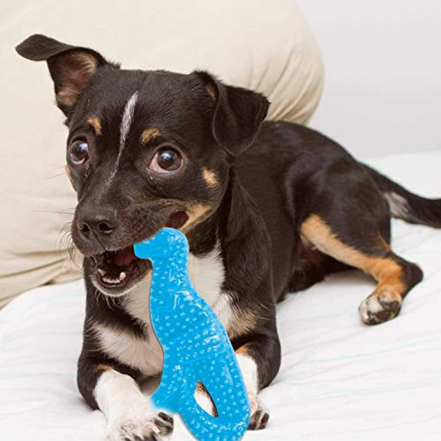 Nylabone Dental Dino Puppy Chew Toy - Image 3