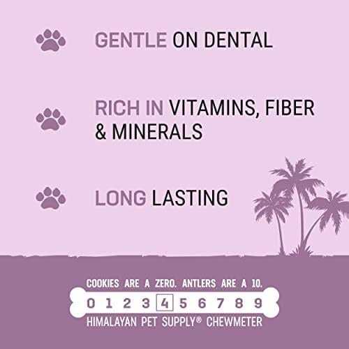 Himalayan Dog Chew Coconut Bone - Image 5