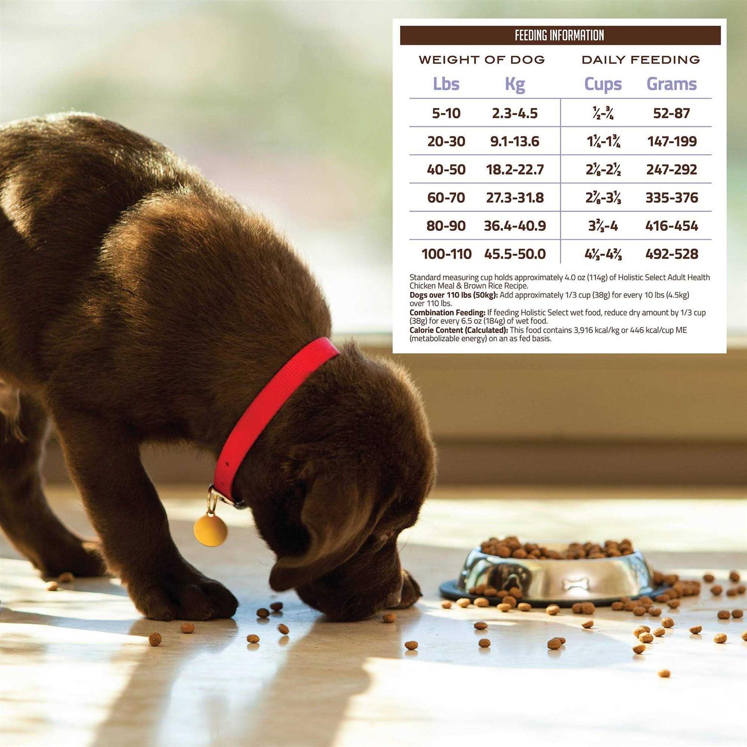 Holistic Select Adult Health Chicken Meal Rice Dry Dog Food - Image 3