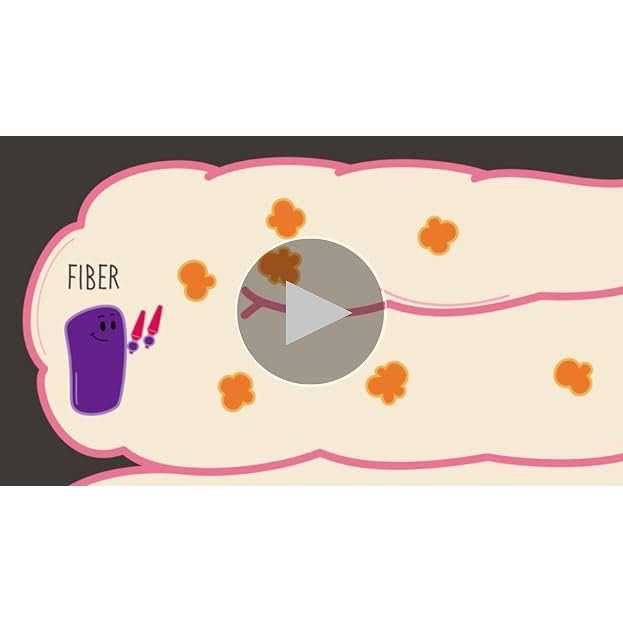 Holistic Select Adult Health Chicken Meal Rice Dry Dog Food - Image 5