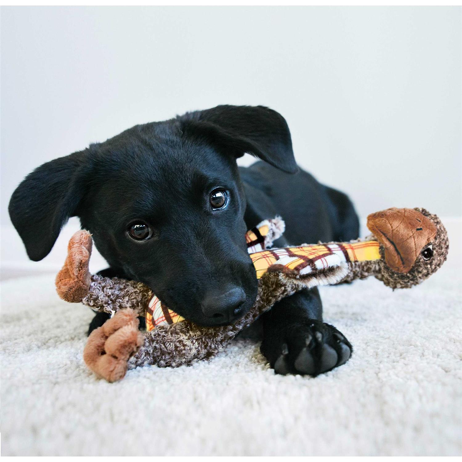 KONG Shakers Luvs Elephant Dog Toy - Image 3