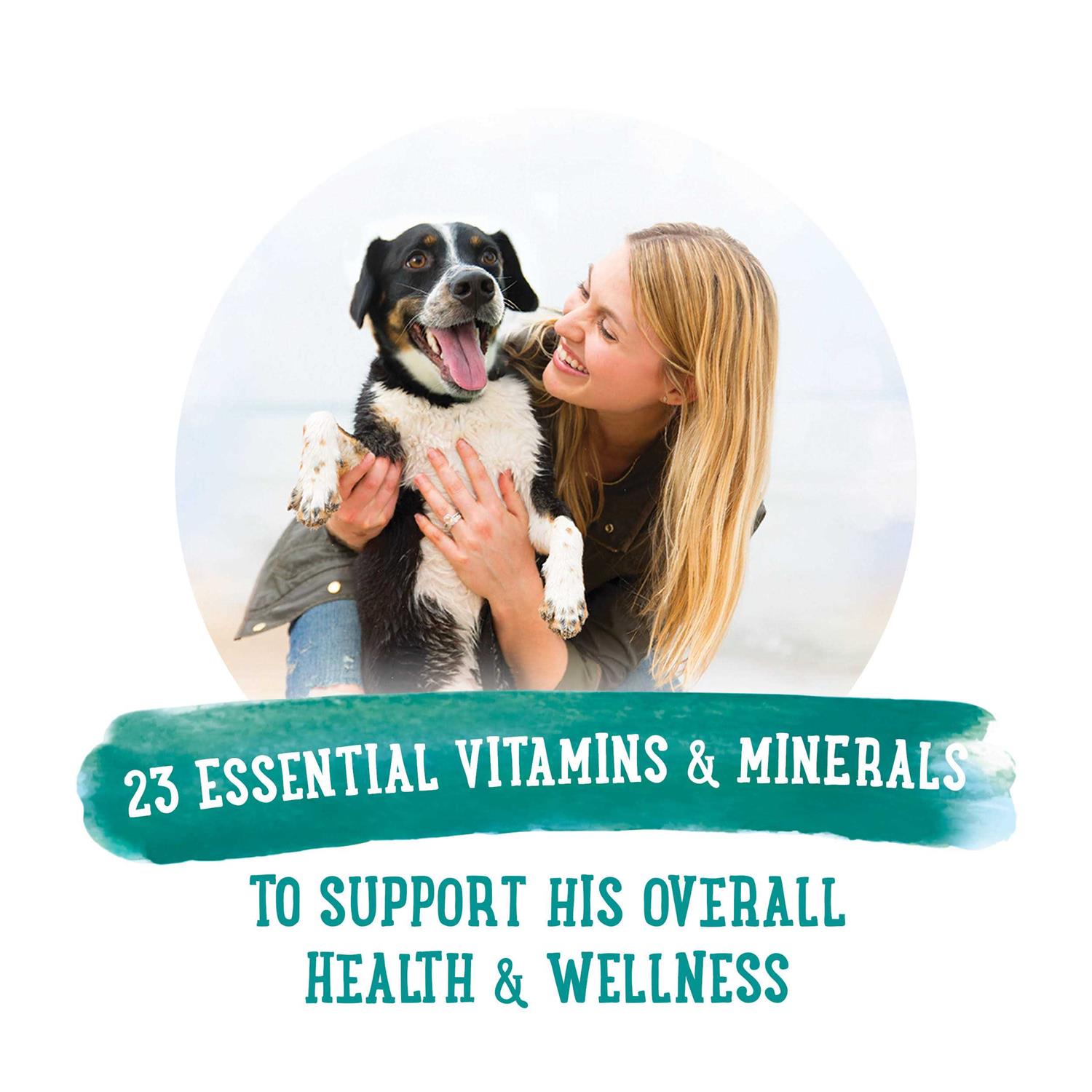 Purina Beneful Prepared Meals Savory Rice & Lamb Stew Wet Dog Food - Image 4